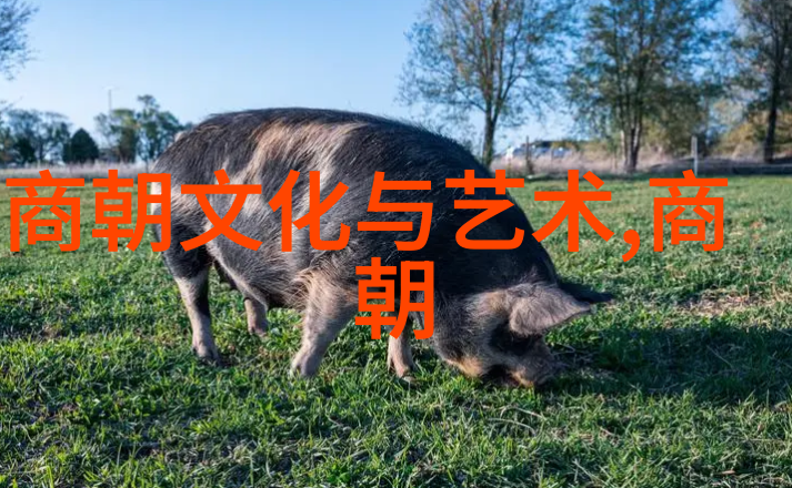 女娲吃人的照片古神秘的恐怖真实