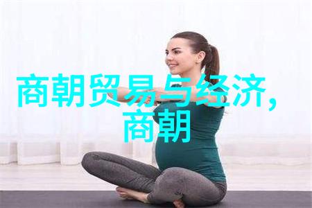 智慧传承把握历史脉络理解文化演变