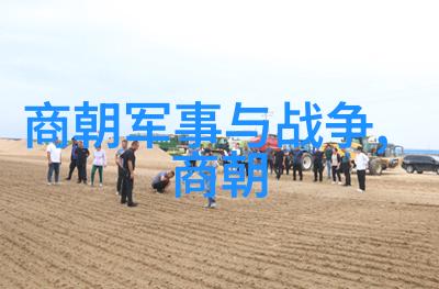 明朝那些事读后感大学时光里的历史沉思与现代喧嚣