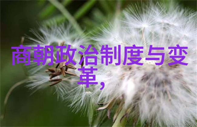 土木堡之变风雪中的诡计与生存