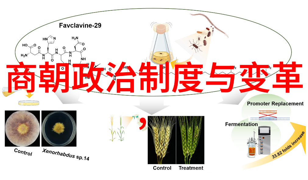 从秦汉到清末中国历史上共计有几位皇帝统治过这个伟大国度