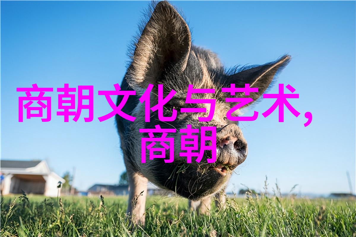 绝命孤鸿南明最后的余晖与江山