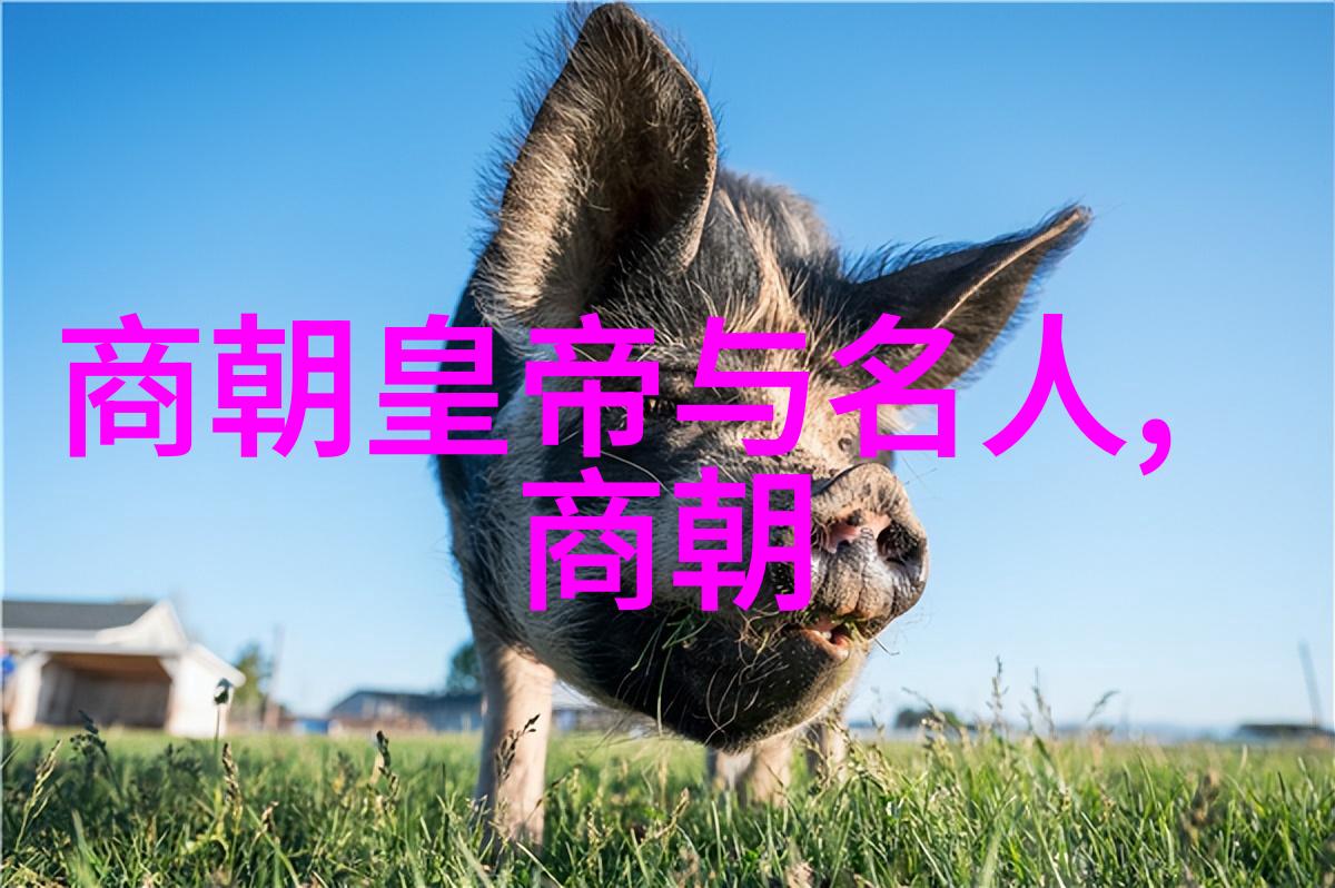 明朝国姓爷为什么姓郑我问明朝国姓爷你为啥突然变成了郑