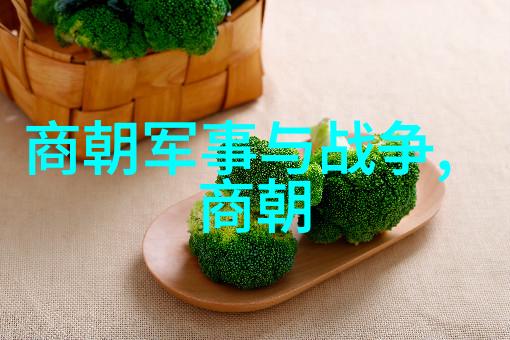宋代社会变化的表现我看宋朝变迁从士人文化到商贾经济