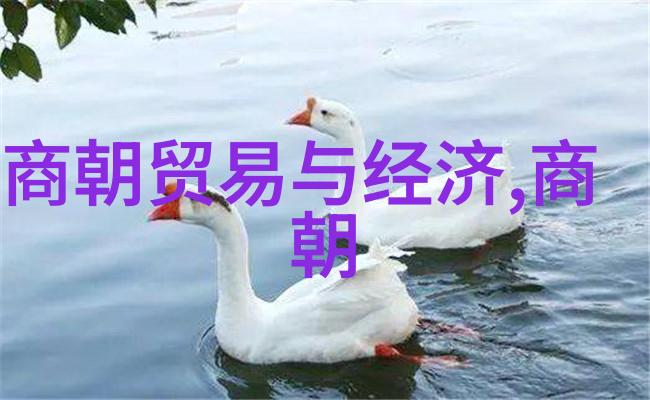 康熙被雍正毒死-御苑阴谋康熙帝的不幸之死与雍正篡位
