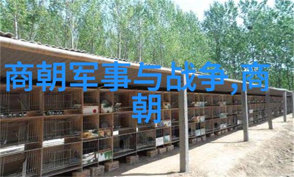 明朝繁华时期的辉煌盛世金碧辉煌的都市风貌