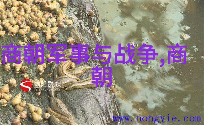 明朝天命之变朱棣夺位的历史考量