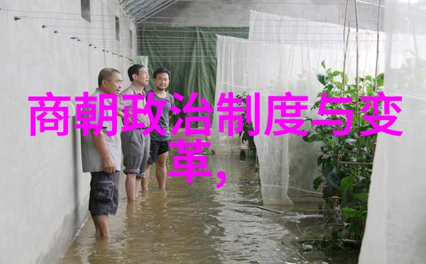 明朝的盛世-金碧辉煌明朝文艺与经济的繁荣盛期
