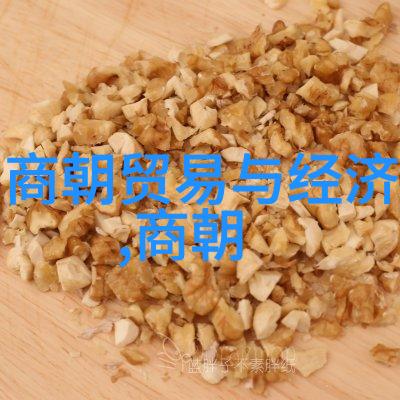明朝历代一览我来给你一回生日从朱元璋到崇祯的那些年