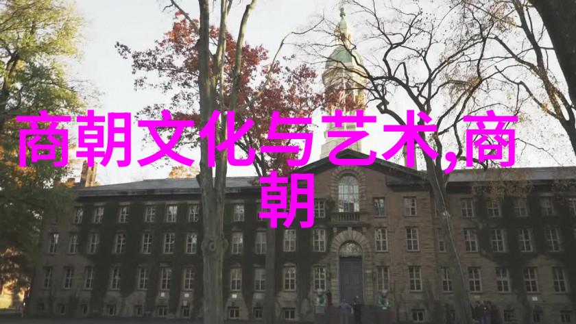王基笑的朝阳沟魏云追悼会音乐在呼唤着你的回声