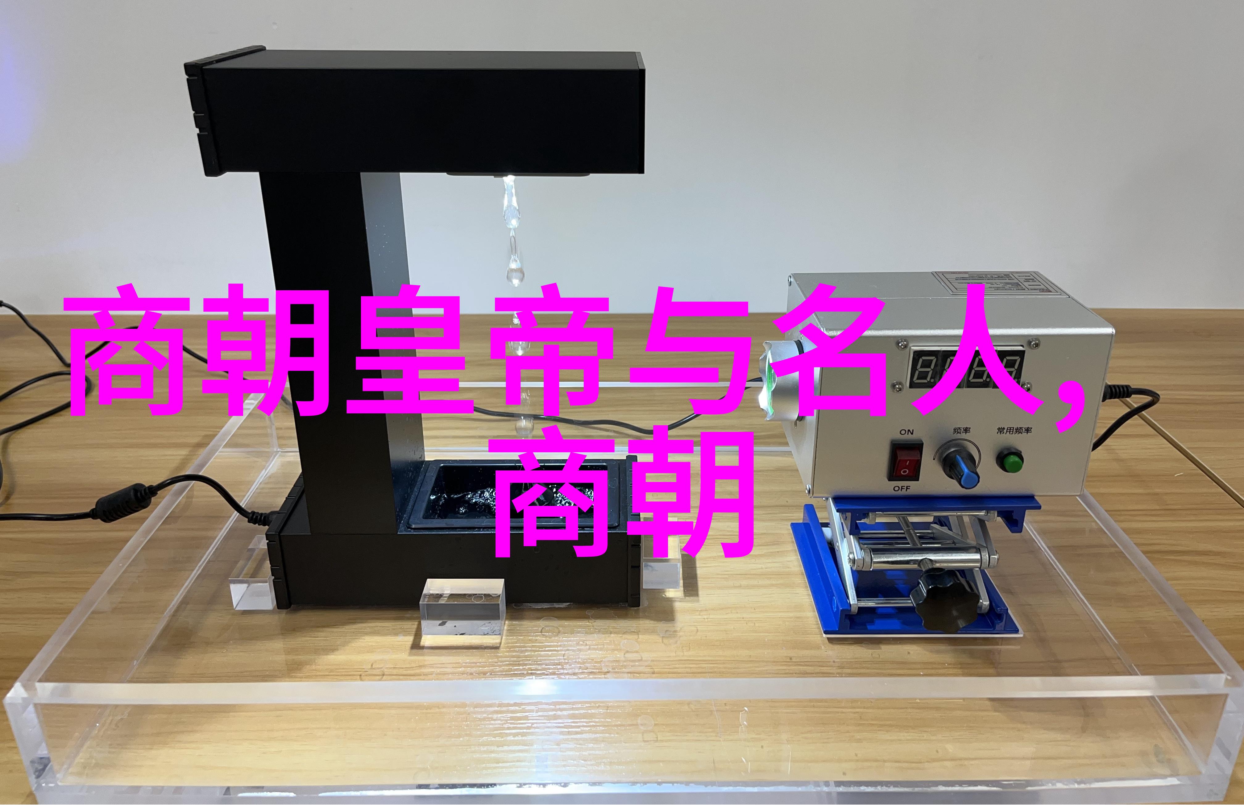 北宋之变徽宗南京易手