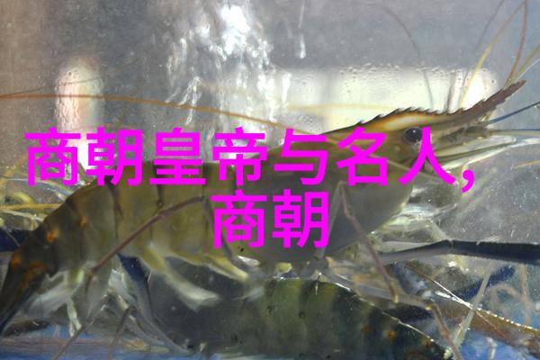 忽必烈之路探索蒙古帝国扩张的战略机制