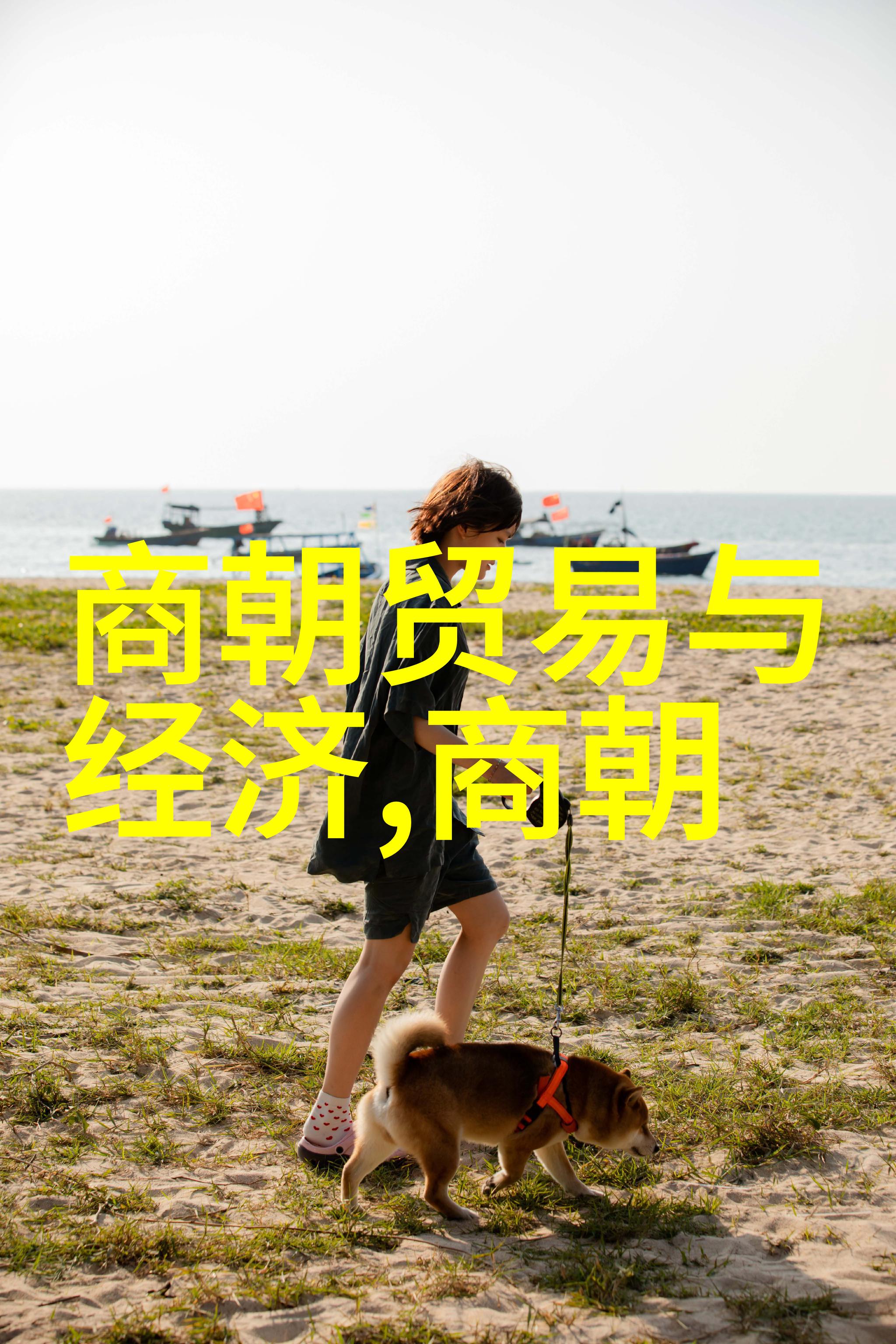 从金末到明初元朝遗留下的政治经济结构