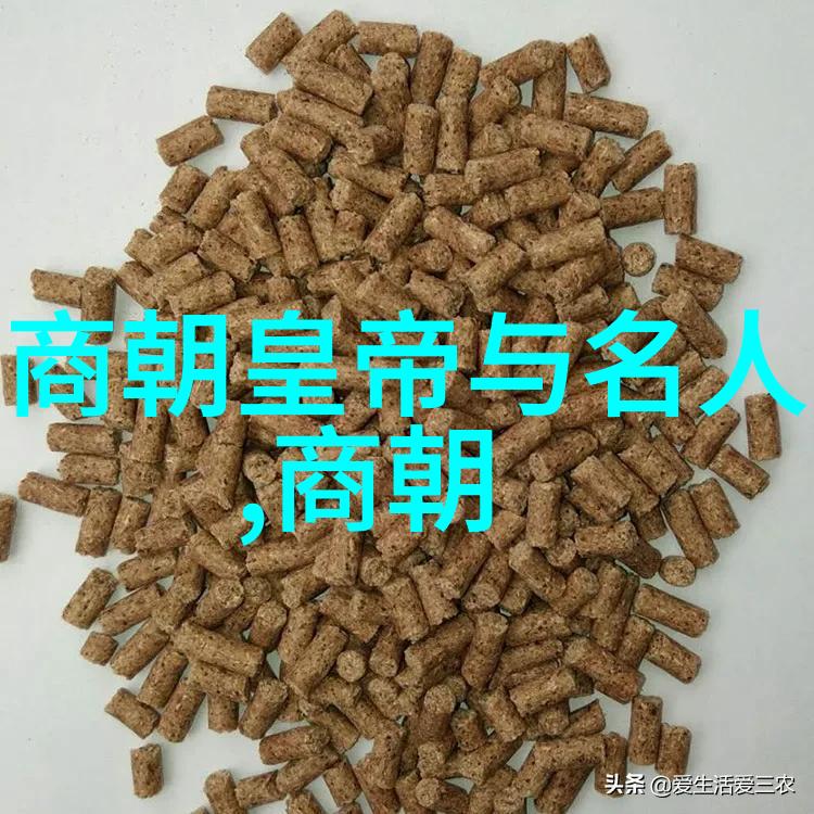 明朝历史朝代排名顺序表揭秘洪武至崇祯的七百年辉煌与变迁