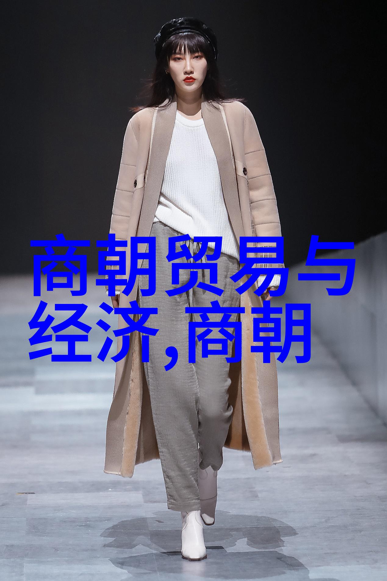 南宋历史简介20字-江山易改本非难南宋的兴衰与文化遗产