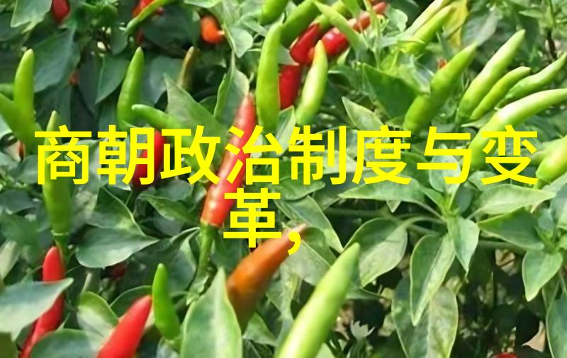 明朝那些事江山社稷之兴衰变迁