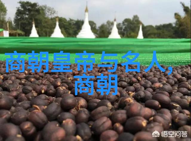 黄梅戏天女散花中的孙怀仁岂不是黄梅戏旦行演员与导演工作者的化身
