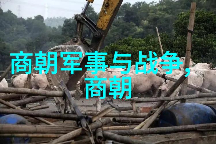 明朝那些事儿揭秘万历十五年之谜