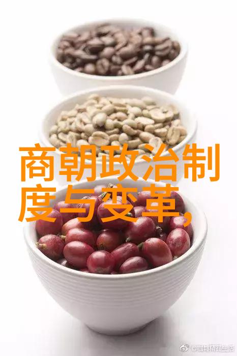 武术健身如大泉五十滋养身心不尽之能