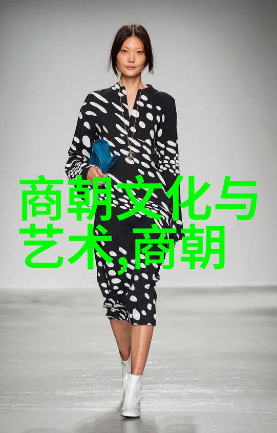 中国历史朝代序列考辨从黄帝时期至清末的九十六个政权体系探究