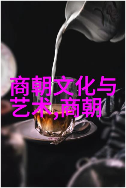南宋的繁荣与北伐的挫折一个分裂时代的两面性
