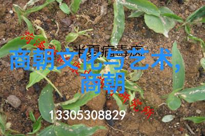 中国古代社会结构与政治制度从周制到清末的一路走来