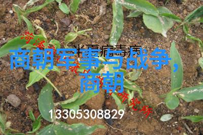 明朝历代一览-龙凤盛世明朝历代帝王简介与成就
