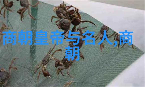 明朝那些事儿下载-追寻历史的足迹明朝那些事儿的网络传承
