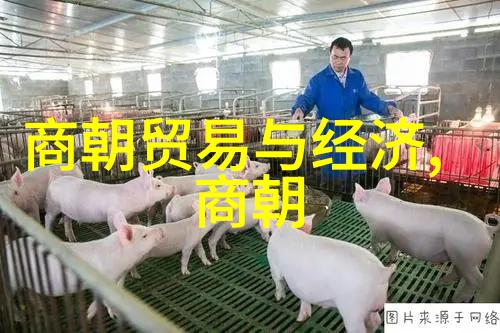 该政策是否能够有效抵御侵略者的压力和挑战原因是什么