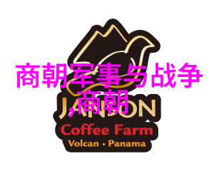美人殇txt新浪-情深似海梦断新浪探秘美人殇故事背后的网络文学现象