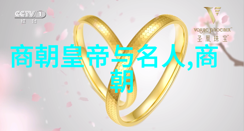 清朝的历代帝王龙凤盛世下的荣耀与挣扎