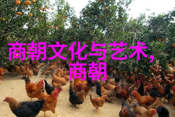 文学与金钱明朝那些事作者的收入来源探究
