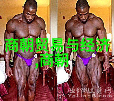 古今中外绘制一幅完整的历史朝代时间轴图