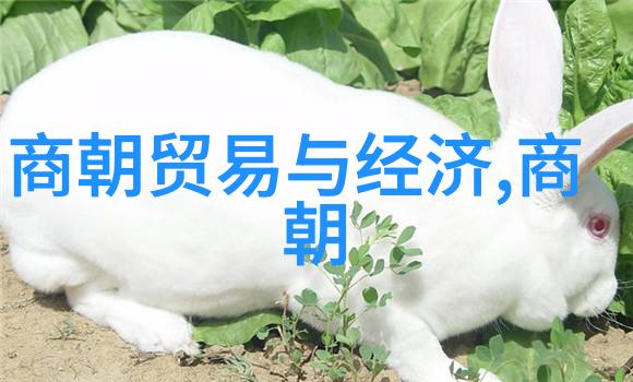科学探索者胡忠伟传递科研智慧的使者