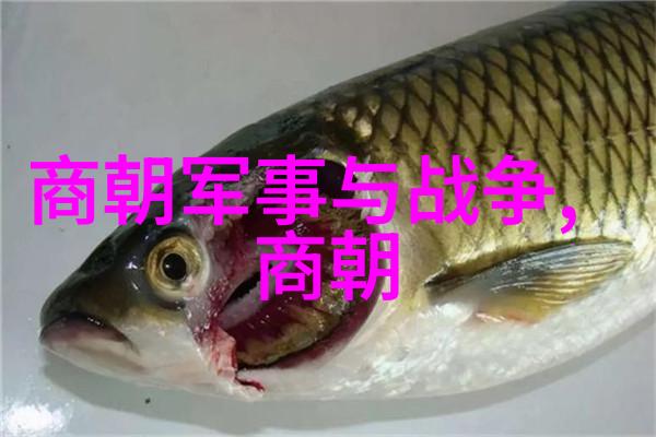 明朝最繁华的几年时期我叫你来看一看那年的北京好大街