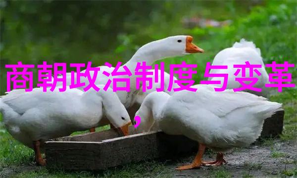 历史上的遗憾哪个朝代最该被保存下来