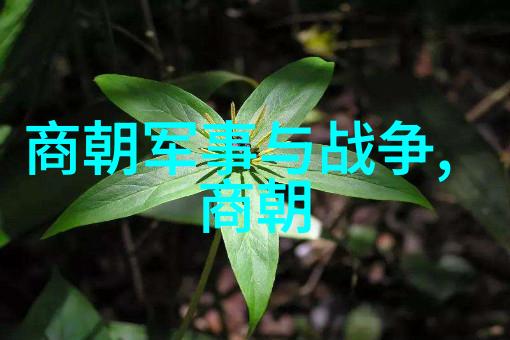 马小跳玩数学的读书笔记怎么写-数码童趣马小跳的数学探险日记