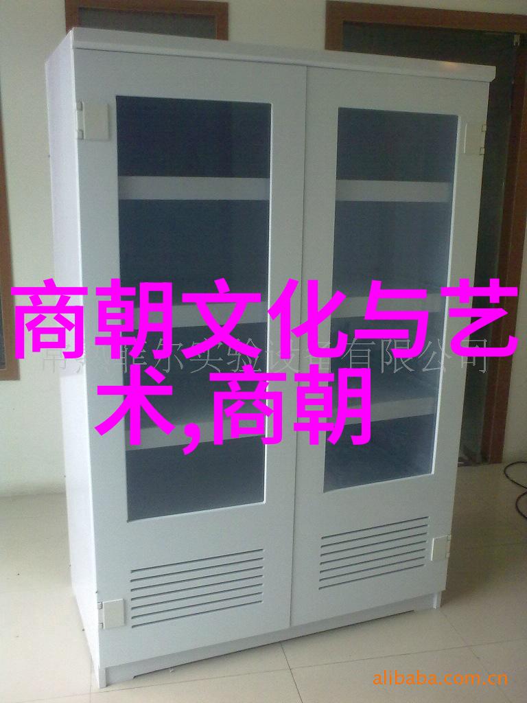 朱允炆与朱棣的对比明朝皇帝能力对比