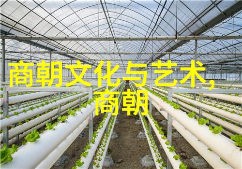 第六届黄梅戏艺术节文化如同璀璨星空真正成为万千观众心中最耀眼的主角