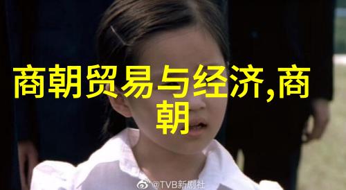 康熙帝统一民族兴盛文化的明智君主