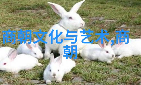 刘伯温的历史结局智者不朽的遗踪