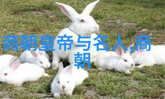 穿越千年时空的秘密明朝那些事儿的神秘出版年份