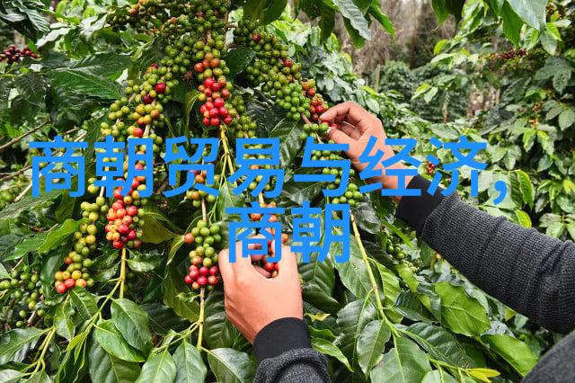 明朝那些事背后的故事副厅级干部的文创梦想