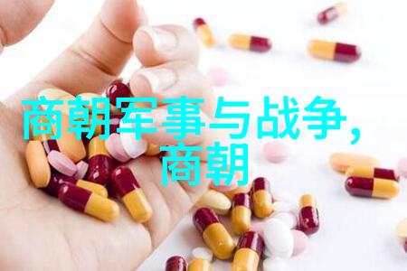 北元继承了什么样的历史遗产明朝又是怎样展现其正统性