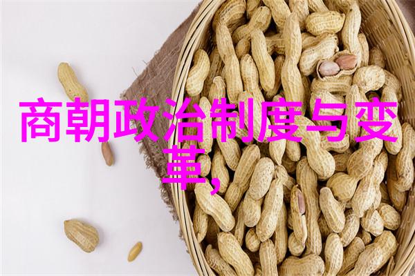 明朝those些者嘉靖四十年一统天下三