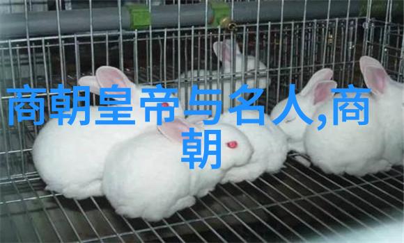 古代书法家排名一览表刘炳清书法之道