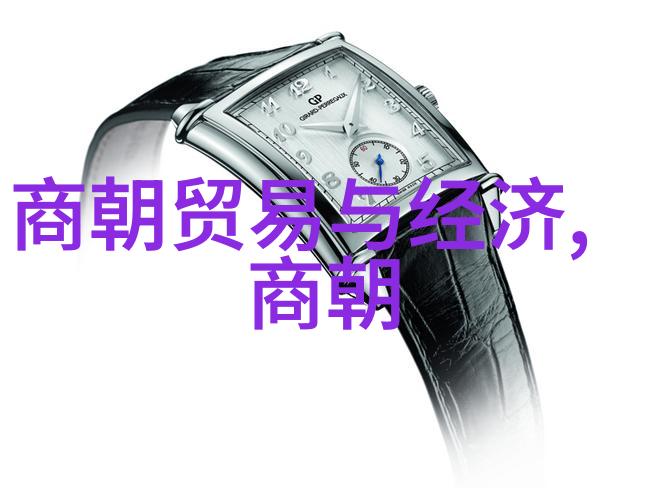 明朝有多少个历史的迷雾与数字的追寻