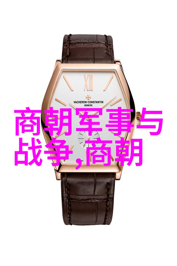 朝代历练时光的长河与帝王的足迹
