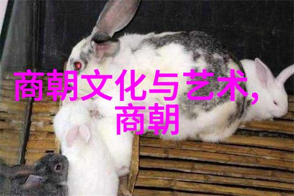 明朝三杰龙影涌动的历史篇章