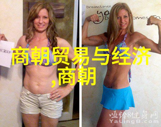 明朝辉煌一段历史的画卷